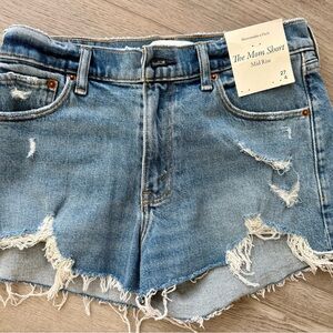 Abercrombie & Fitch Light Blue Frayed Jean Shorts